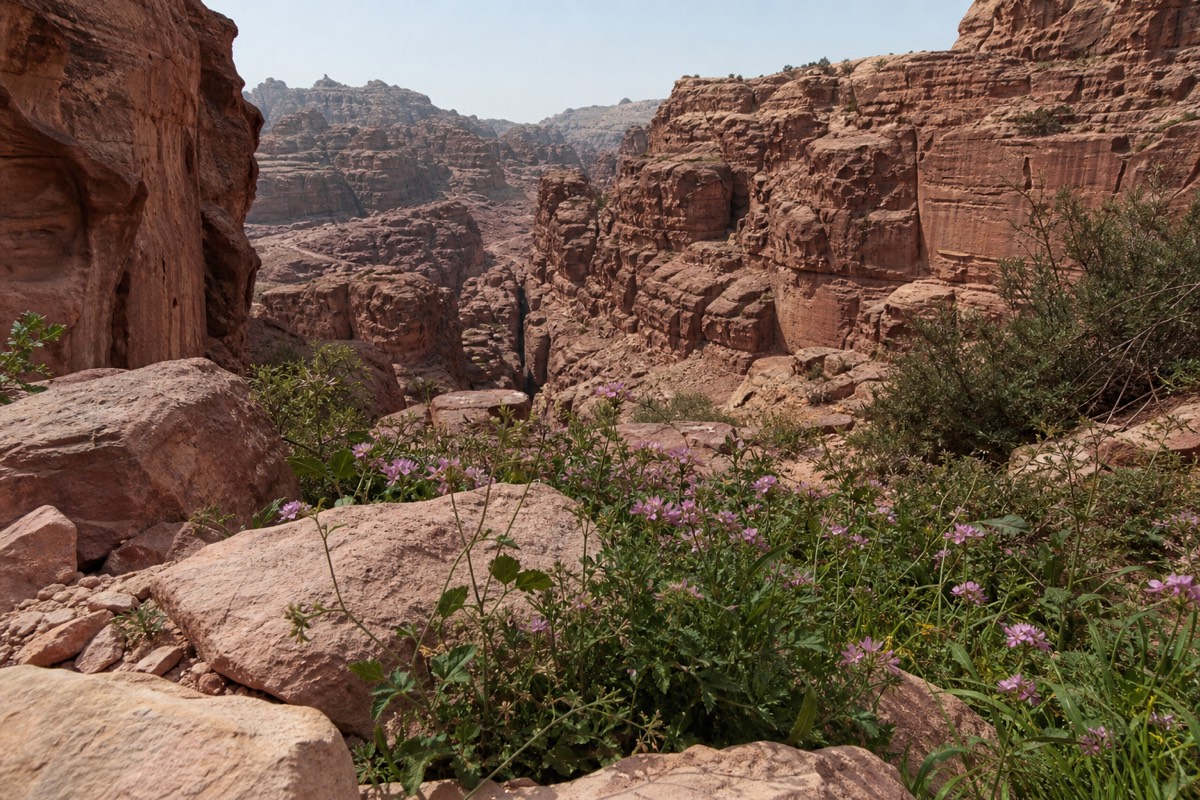 Soft early morning light on the rose-red Treasury facade at Petra during the spring shoulder season