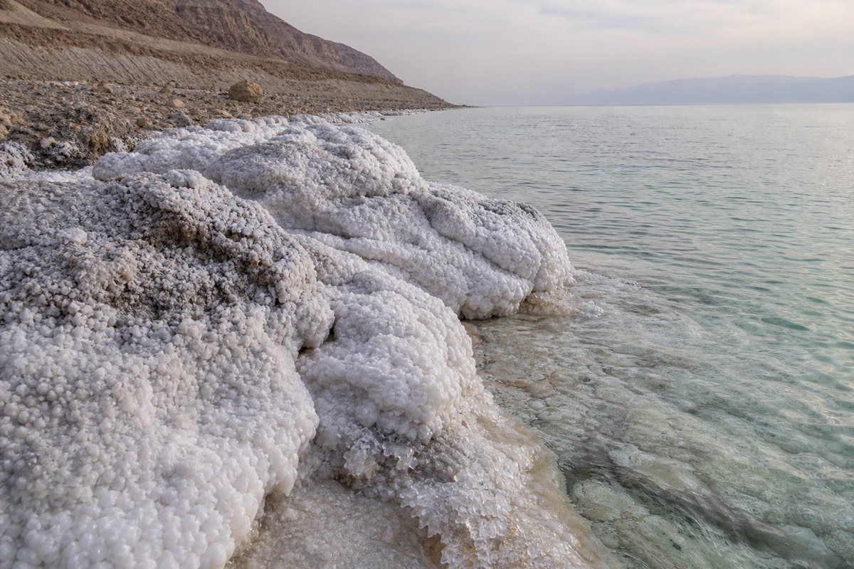 The still, mineral-crusted shoreline of the Dead Sea at dusk